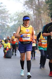 BIB: 81038, 11384
                            <button type="button" onclick="openModal(10414236)" class="btn btn-primary btn-sm float-right btn-popup" data-toggle="modal" data-target=".modal-high-quality">
                        <i class="fas fa-shopping-cart"></i> Add to Cart
                    </button>
                                            <button type="button" onclick="isThisMe(10414236, true)" class="btn btn-success btn-sm float-right btn-popup btn-isme hidden" data-toggle="tooltip" data-placement="bottom" title="นี่คือรูปของคุณใช่ไหม คลิกที่นี่เพื่อเอาเข้าอัลบั้ม">
                        <i class="fas fa-plus"></i> Add to album
                    </button>
                    <button type="button" onclick="isThisMe(10414236, false)" class="btn btn-warning btn-sm float-right btn-popup btn-isnotme hidden">
                        <i class="fas fa-ban"></i> Remove from album
                    </button>